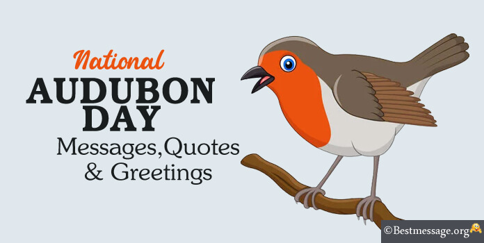 Audubon Day Wishes Quotes Messages