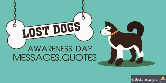 Lost Dog Awareness Day Messages Quotes