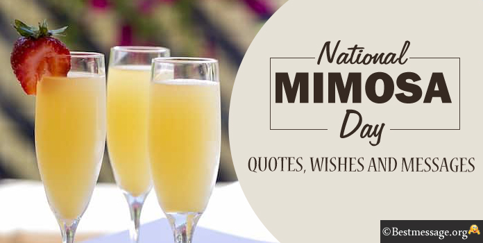 Happy Mimosa Day Messages, Mimosa Quotes