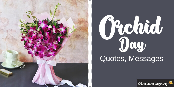 Orchid Day Wishes Messages Quotes