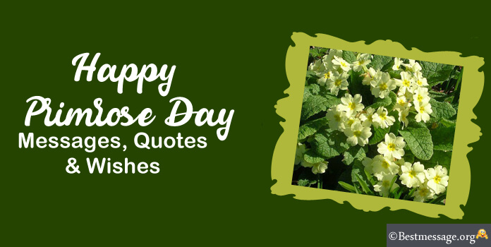 Happy Primrose Day Wishes Messages