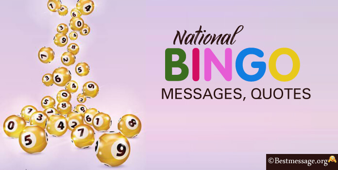 Bingo Day Messages Bingo Captions Quotes
