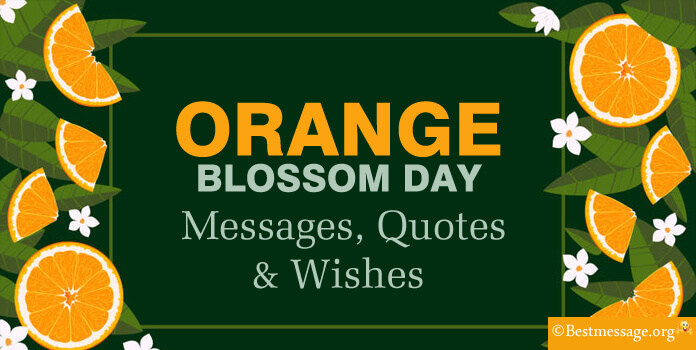 Orange Blossom Day Messages Quotes