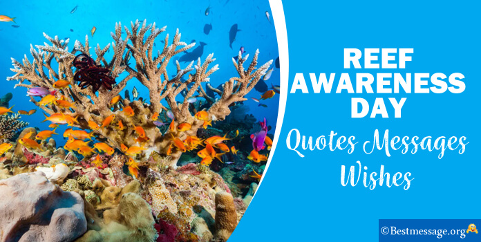 World Reef Awareness Day Messages Quotes