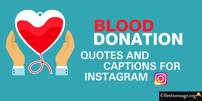 Blood Donation Instagram Captions, Quotes