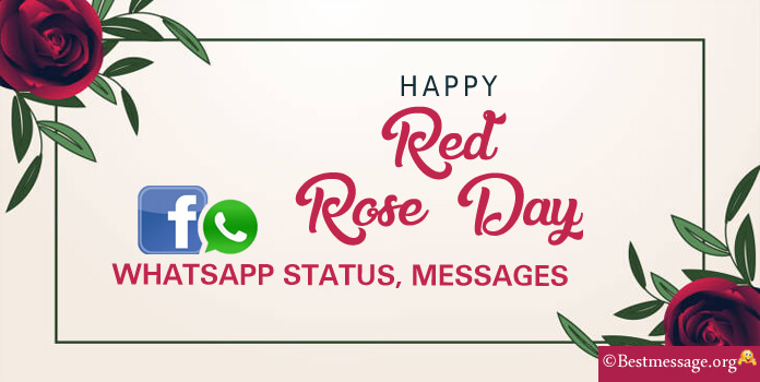 Happy Red Rose Day WhatsApp Status
