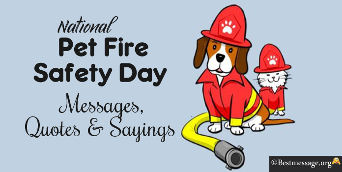Pet Fire Safety Day Messages Quotes