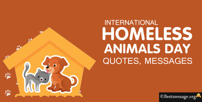 International Homeless Animals Day Quotes, Messages