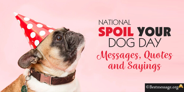 National Spoil Your Dog Day Messages, Quotes and Sayings
