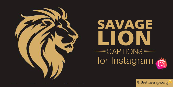 Savage Lion Captions for Instagram