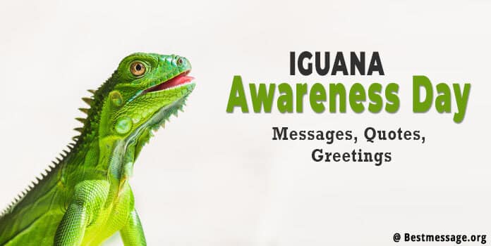 Iguana Awareness Day Messages, Quotes, Greetings
