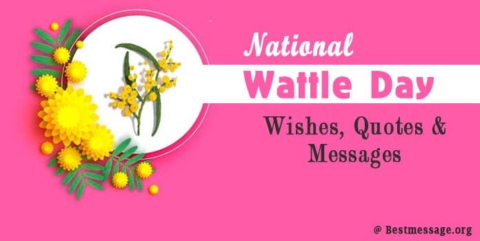 National Wattle Day Wishes, Quotes & Messages