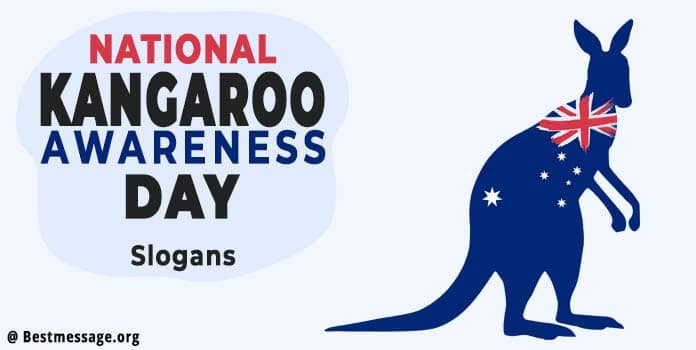 National Kangaroo Awareness Day Messages, Quotes, Slogans