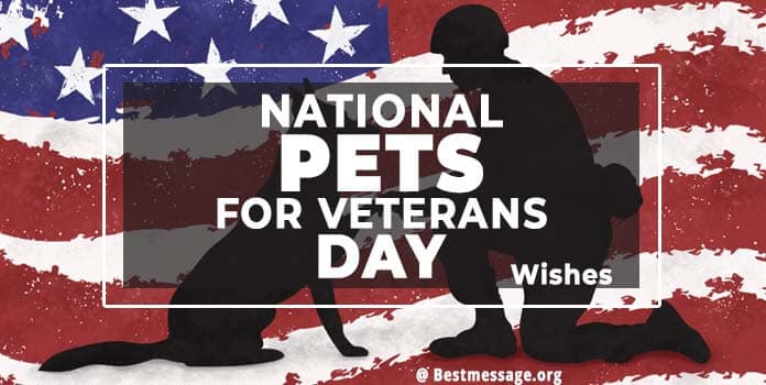 National Pets for Veterans Day Messages, Quotes, Wishes