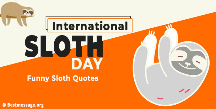 International Sloth Day Messages, Funny Sloth Quotes