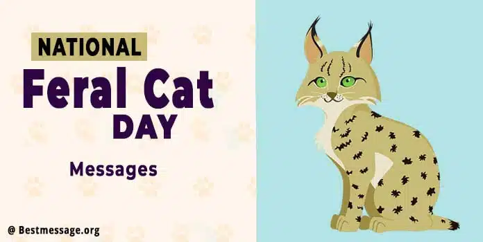 National Feral Cat Day 2022 Quotes, Wishes, Messages