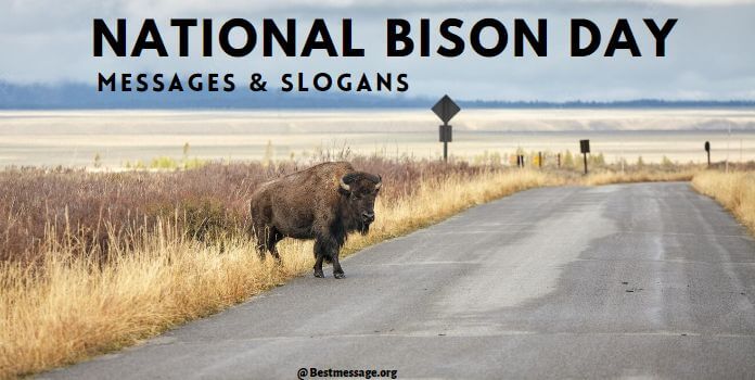 National Bison Day Messages, Quotes, Bison Slogans