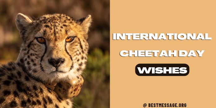 Cheetah Day Wishes Image Messages, Quotes