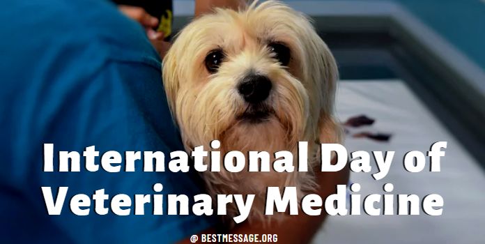 International Day of Veterinary Medicine Quotes