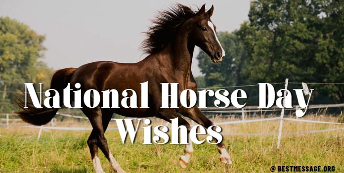 Horse Day Wishes Quotes