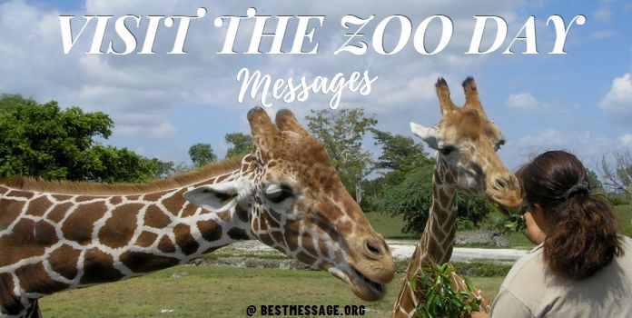 Visit the Zoo Day Messages, Greetings, Quotes