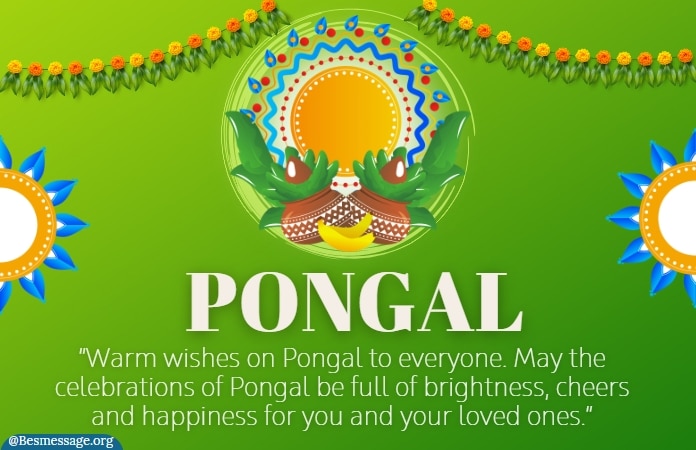 Pongal Whatsapp Status Messages Images