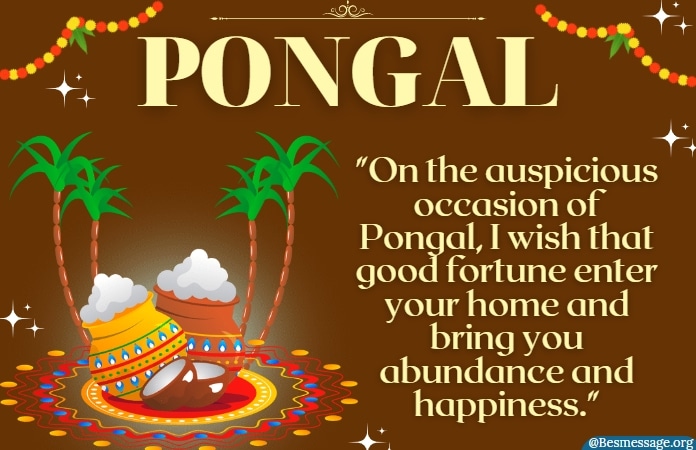Pongal Wishes Messages in English