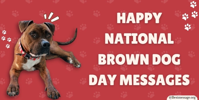 Brown Dog Day Messages Quotes