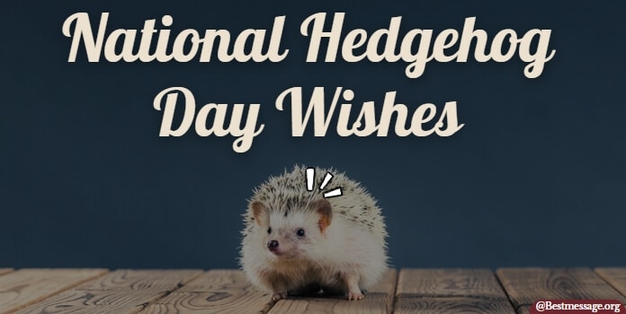 Hedgehog Day Wishes, Messages Quotes