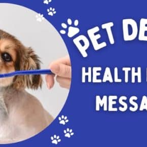 Pet Dental Health Month Messages, Quotes