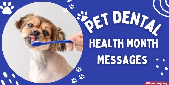 Pet Dental Health Month Messages, Quotes
