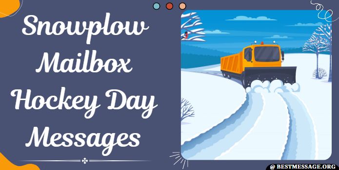 Snowplow Mailbox Hockey Day Messages, Quotes