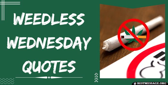 Weedless Wednesday Quotes Messages