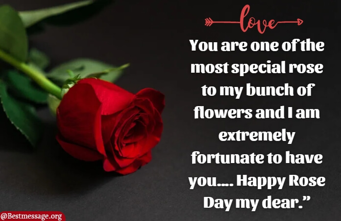 Happy Rose Day Messages 2023 Photo