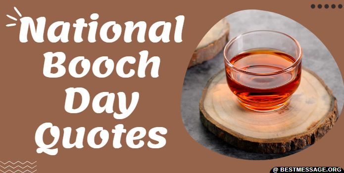 National Booch Day Quotes Messages