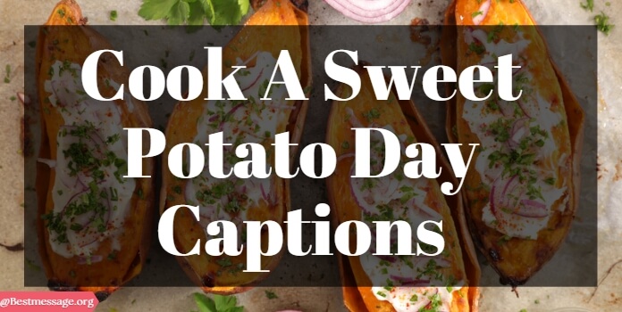 Cook a Sweet Potato Day Messages Image