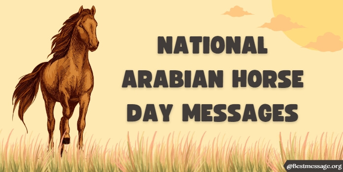 Arabian Horse Day Messages, Horse Quotes