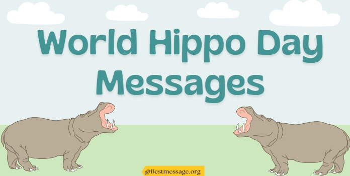 Hippo Day Messages, Hippo Quotes, Slogans