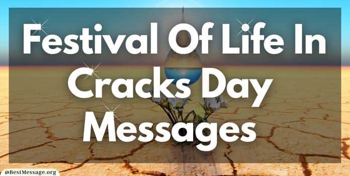 Festival Of Life In Cracks Day Messages