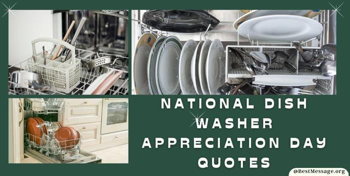 National Dish Washer Appreciation Day Messages, Quotes