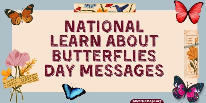 National Learn About Butterflies Day Sayings, Quotes and Messages