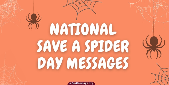 Save a Spider Day Messages, quotes