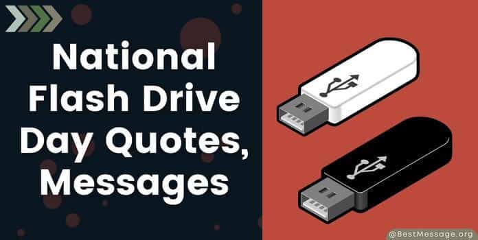 National Flash Drive Day Quotes, Messages