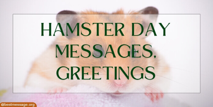 Hamster Day Messages, Quotes