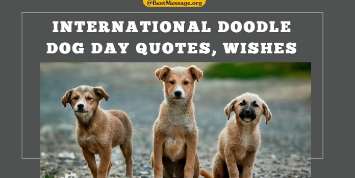 International Doodle Dog Day Quotes, Wishes