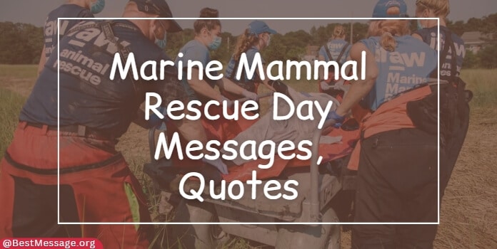 Marine Mammal Rescue Day Messages, Quotes