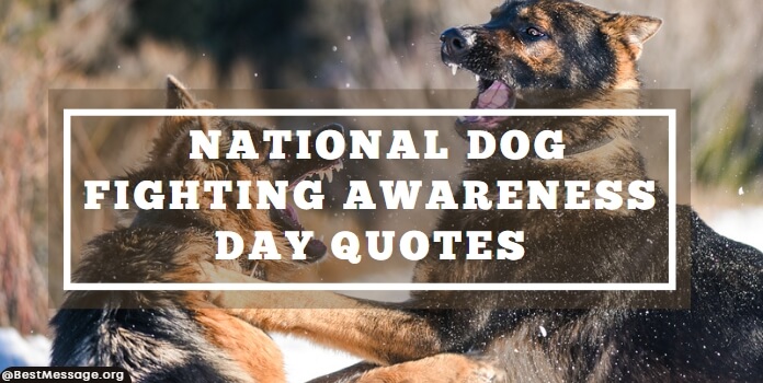 Dog Fighting Awareness Day Quotes, Messages