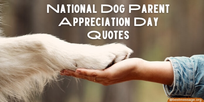 Dog Parent Appreciation Day Quotes, Messages