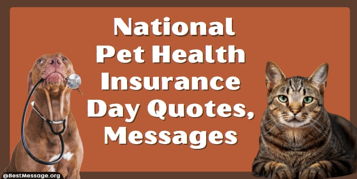 National Pet Health Insurance Day Quotes, Messages
