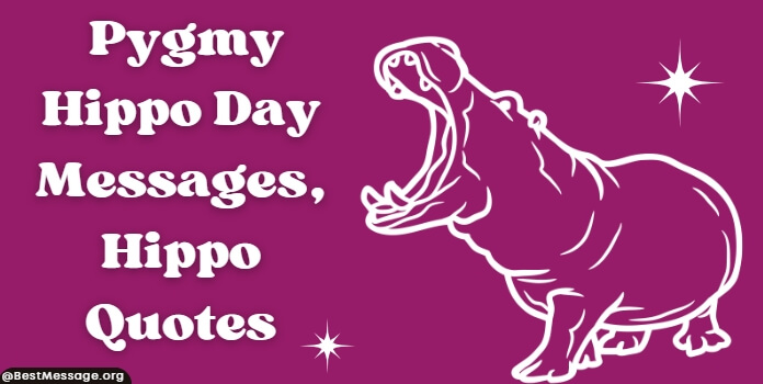 Pygmy Hippo Day Messages, Hippo Quotes
